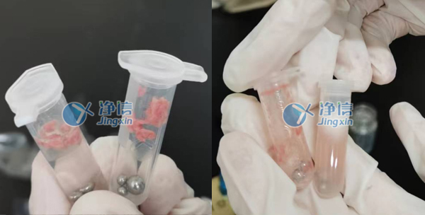 组织匀浆机对肺组织研磨操作实验方法