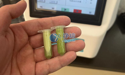 全自动样品快速研磨仪对水稻叶片研磨实验前后效果及操作方法|上海净信