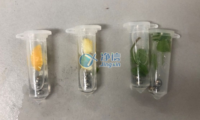 使用组织捣碎匀浆机对果皮和叶片研磨实验过程中需要注意那些问题？